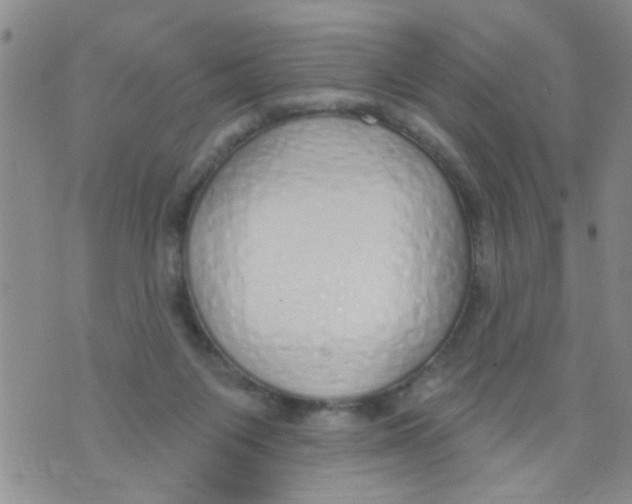 X0000073930119200609082312