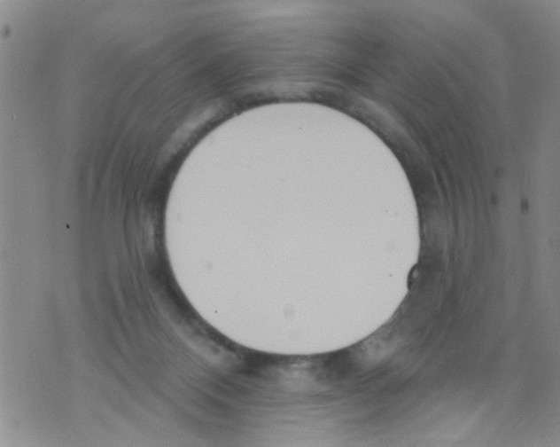 X0000073930120200609082312