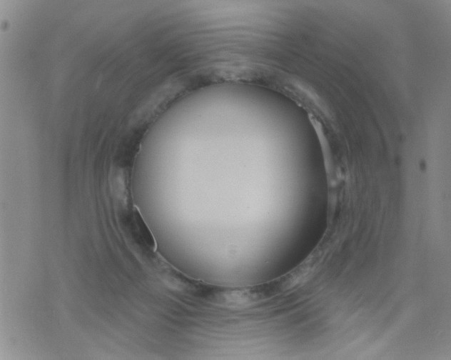 X0000073930121200609082312