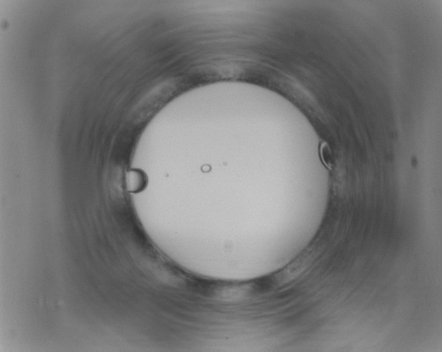 X0000073930122200609082312