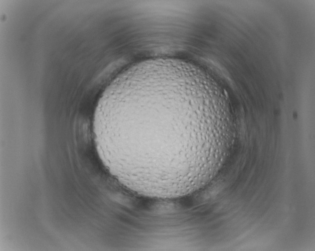 X0000073930123200609082312