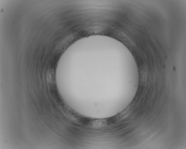 X0000073930126200609082312