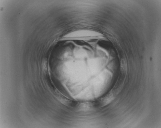 X0000073930127200609082312