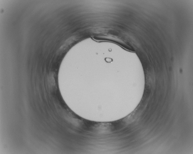 X0000073930128200609082312