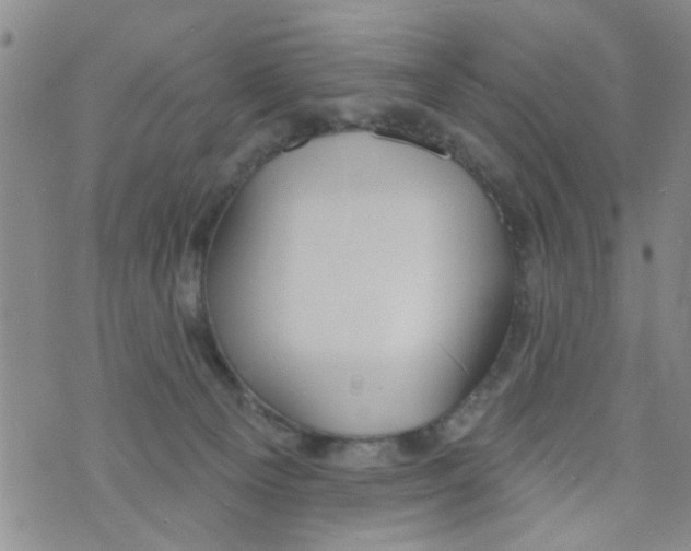 X0000073930129200609082312