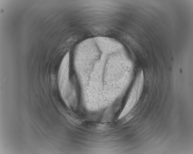 X0000073930130200609082312