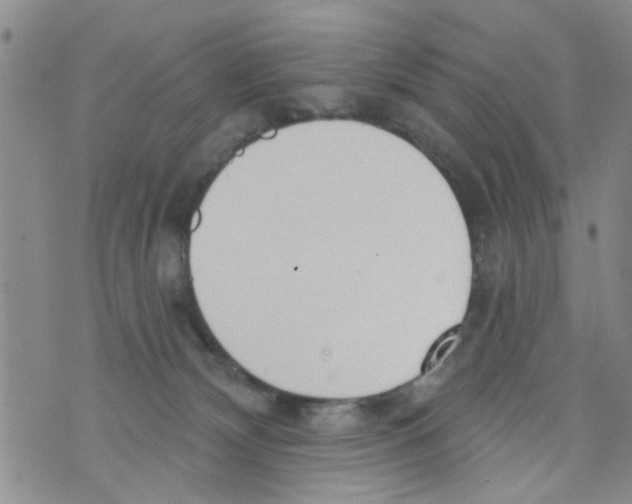 X0000073930132200609082312