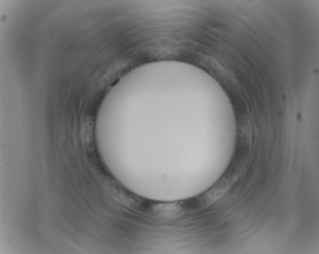 X0000073930133200609082312