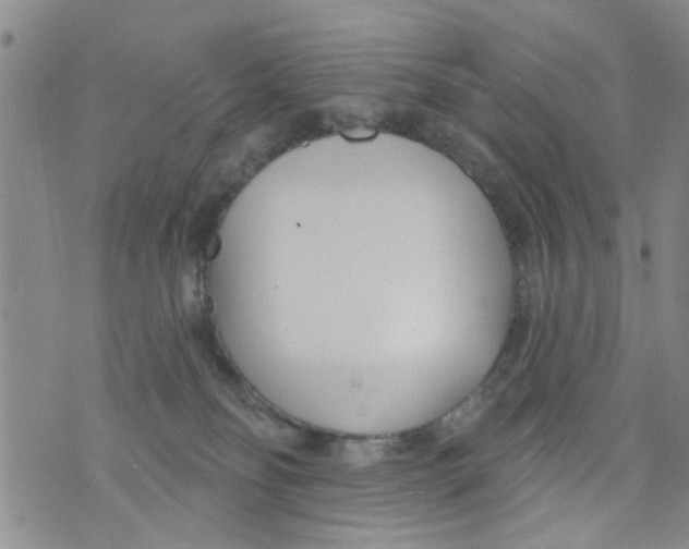 X0000073930134200609082312