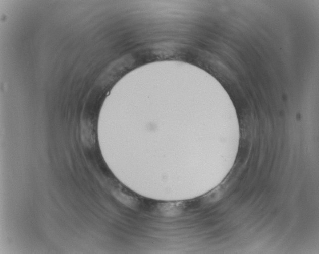 X0000073930136200609082312