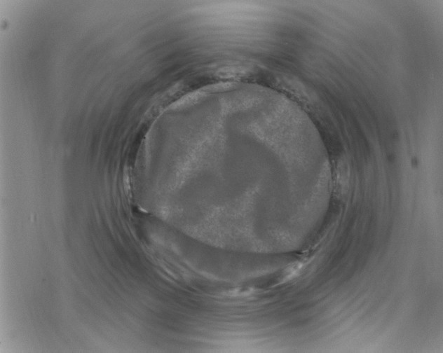 X0000073930137200609082312