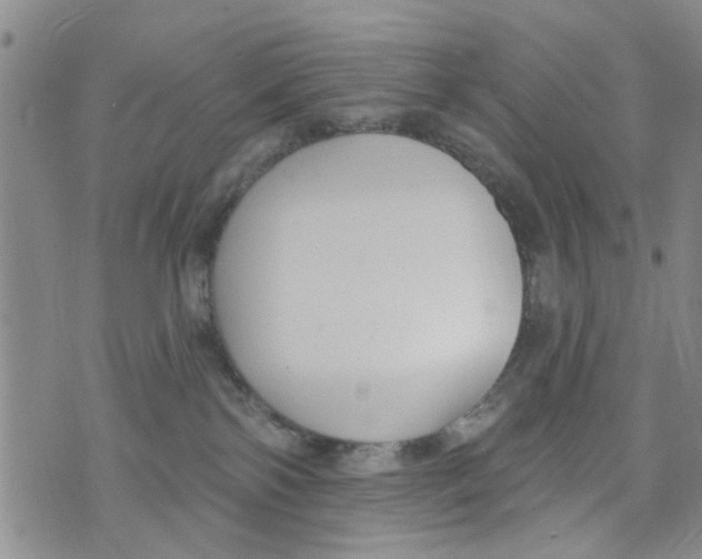 X0000073930138200609082312