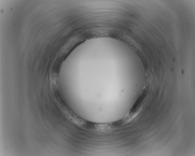 X0000073930141200609082312