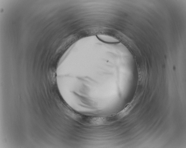 X0000073930142200609082312