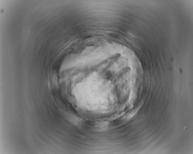 X0000073930143200609082312