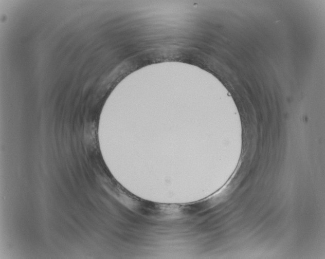 X0000073930144200609082312