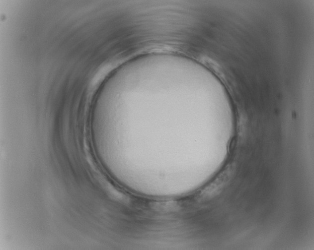 X0000073930145200609082311