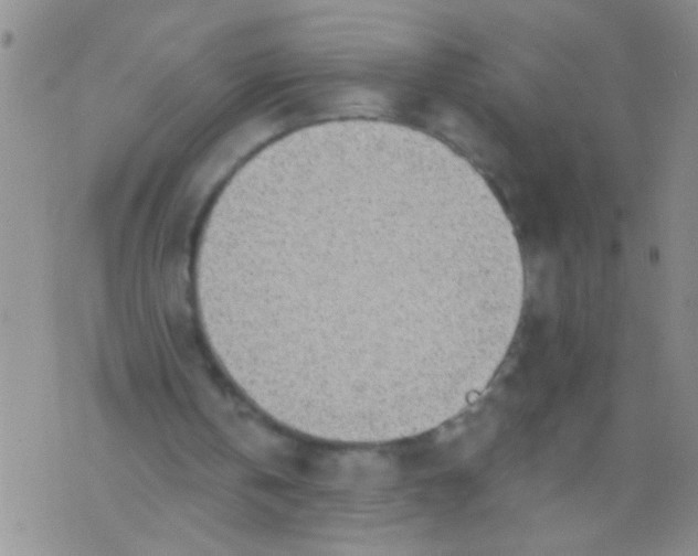 X0000073930146200609082311