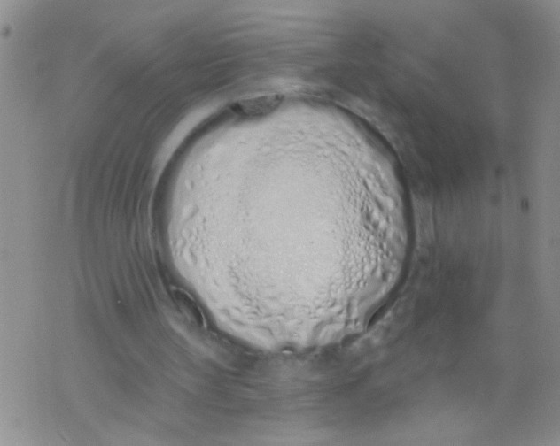 X0000073930147200609082311