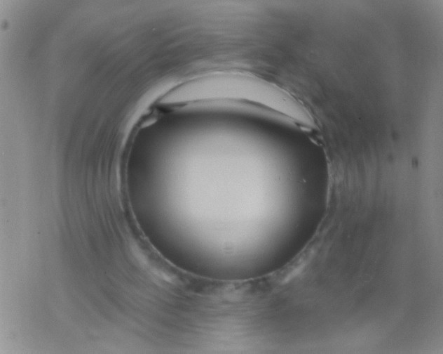 X0000073930148200609082311