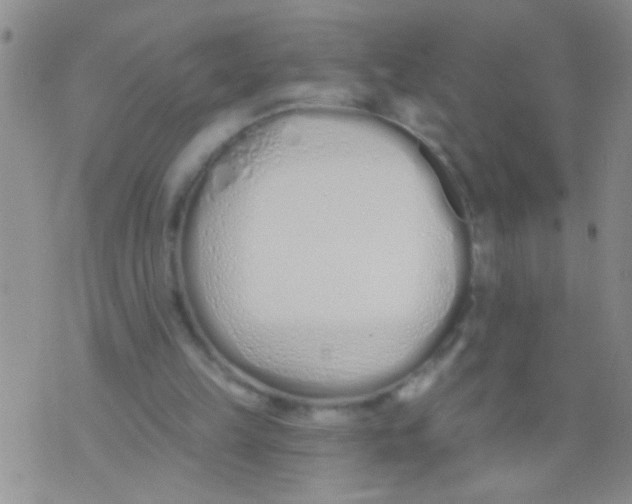 X0000073930149200609082311