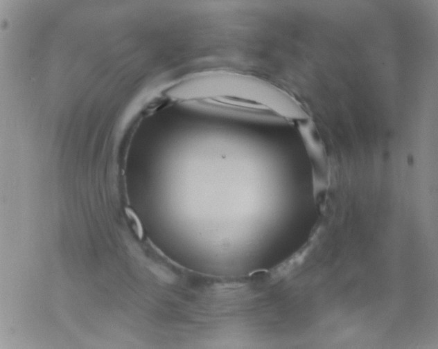 X0000073930150200609082311