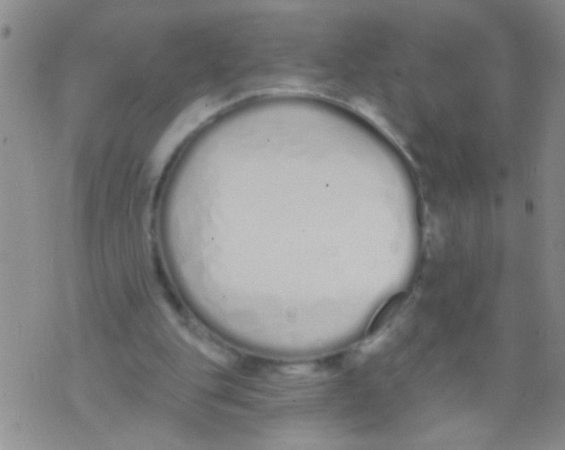 X0000073930151200609082311