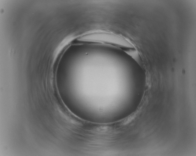 X0000073930152200609082311