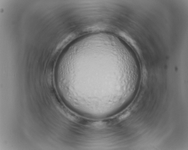 X0000073930153200609082311