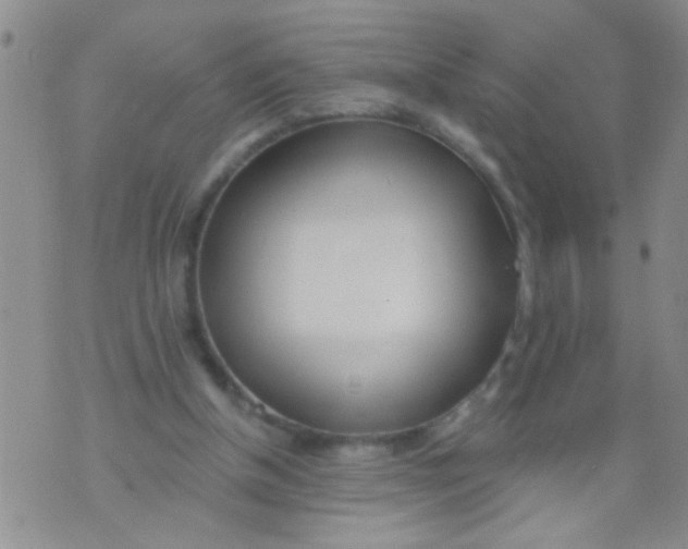 X0000073930154200609082311