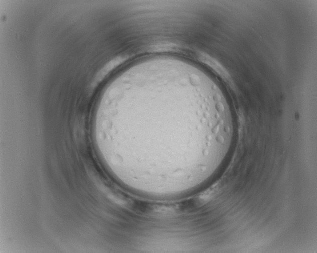 X0000073930155200609082311