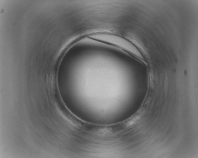 X0000073930156200609082311