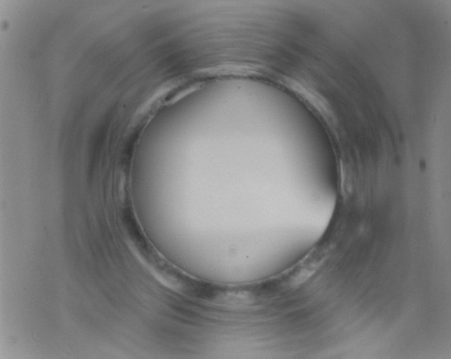 X0000073930157200609082311