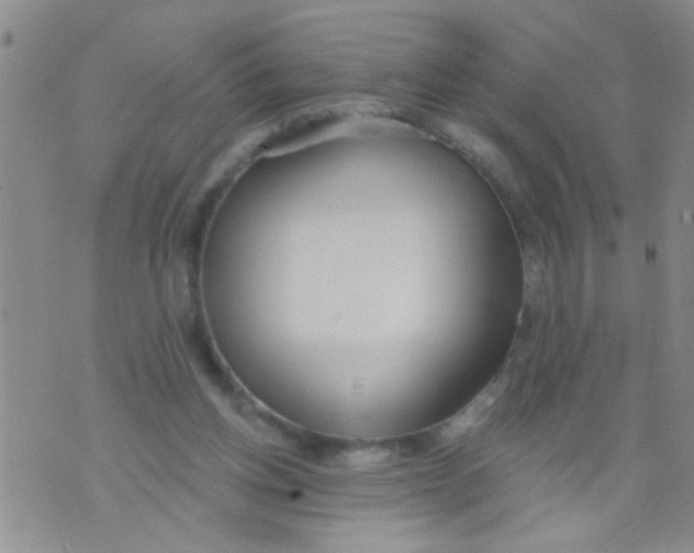 X0000073930158200609082312