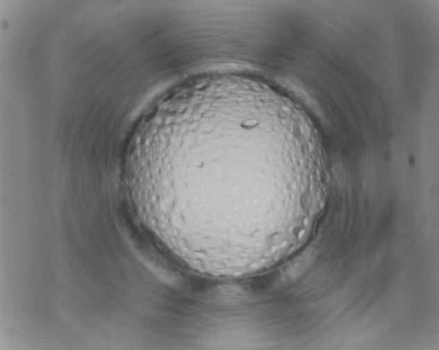 X0000073930159200609082312