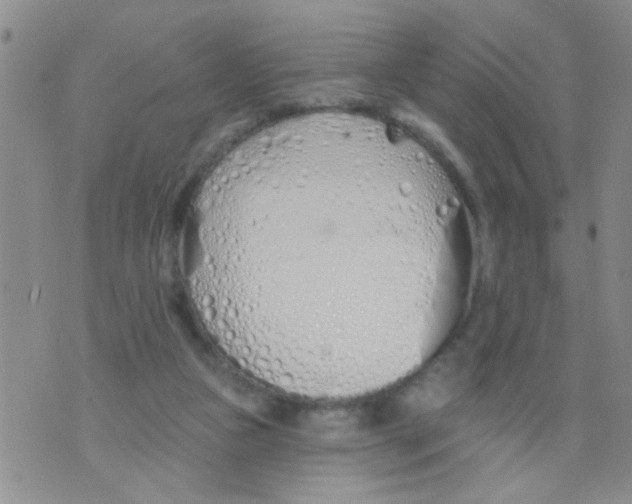 X0000073930161200609082312