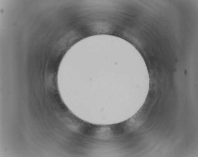 X0000073930162200609082312