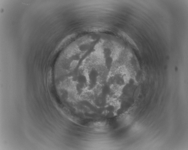 X0000073930163200609082312