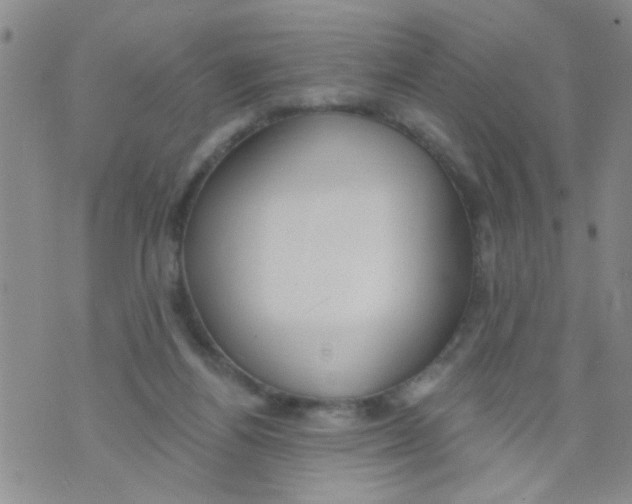 X0000073930164200609082312