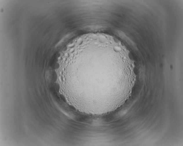 X0000073930165200609082312