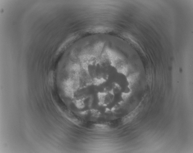 X0000073930167200609082312