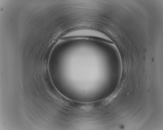 X0000073930168200609082312