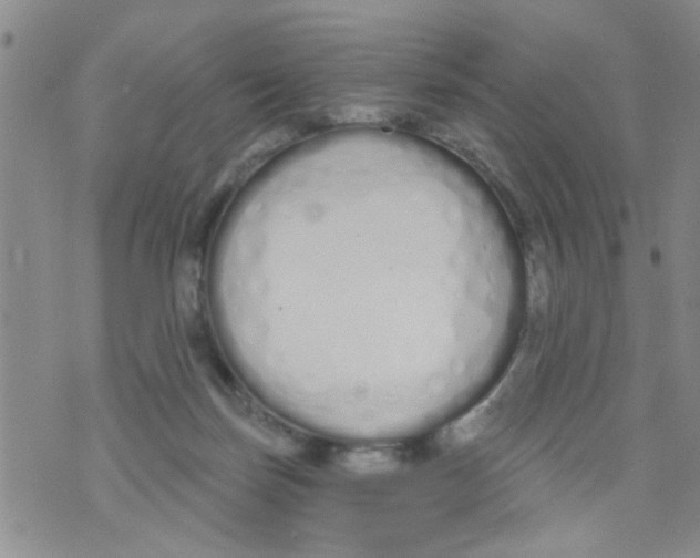 X0000073930171200609082312