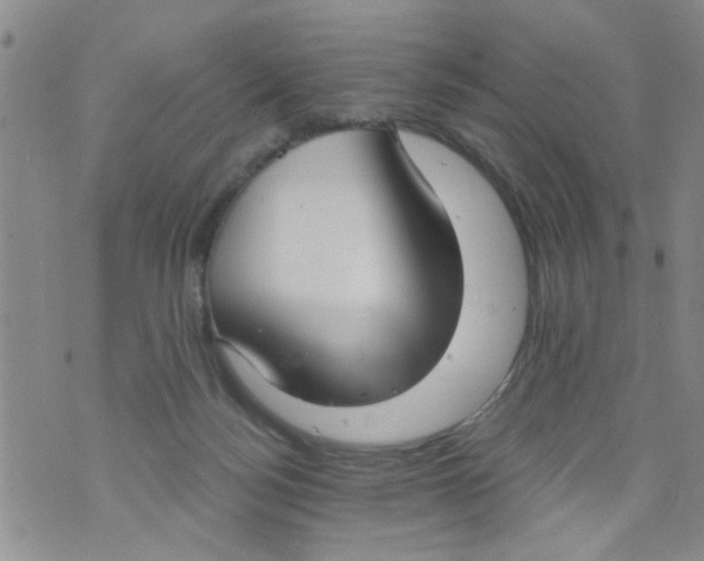 X0000073930172200609082312