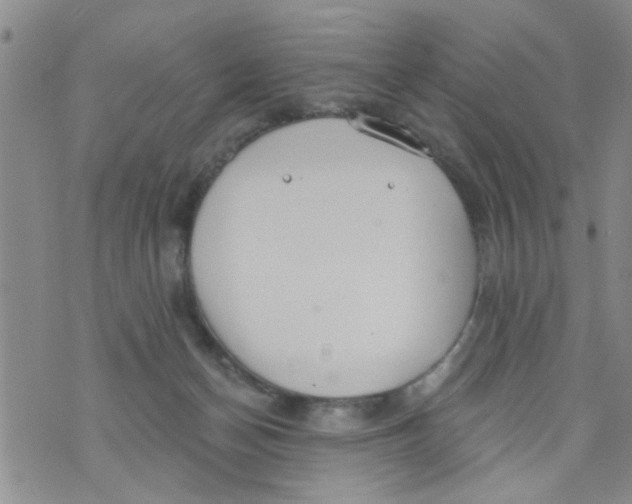 X0000073930174200609082312