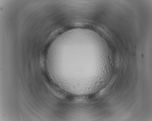 X0000073930175200609082312