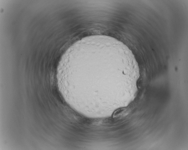 X0000073930177200609082312