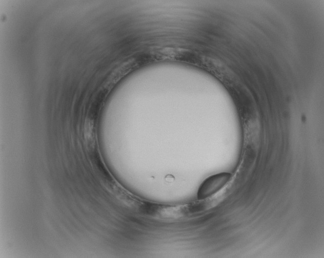 X0000073930178200609082312