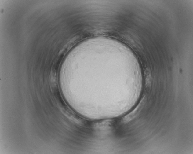 X0000073930179200609082312