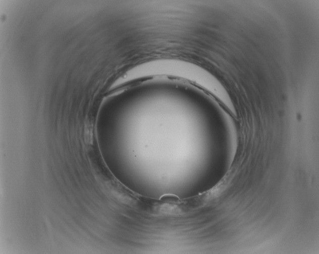 X0000073930180200609082312